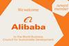 Alibaba World Business Council for Sustainable Development