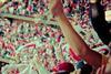 Fans in stadium