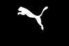 Puma faces Asian takeover interest