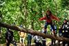 AKA and friends watch on as a youngster gets adventurous on an Outdoor Activity Day