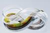 circular economy
