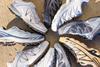 foot locker x salomon
