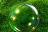 greenwashing