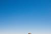 yoav-aziz--yqiYu9xRBU-unsplash
