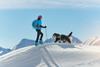 getty-images-kO9jtMdCEzc-unsplash