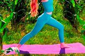 (c) The LYCRA Company 2024. Modell beim Yoga im Maisfeld__