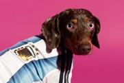 cover adidas pet world cup