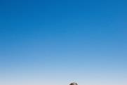 yoav-aziz--yqiYu9xRBU-unsplash