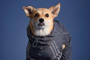 Pet Market Adidas 3