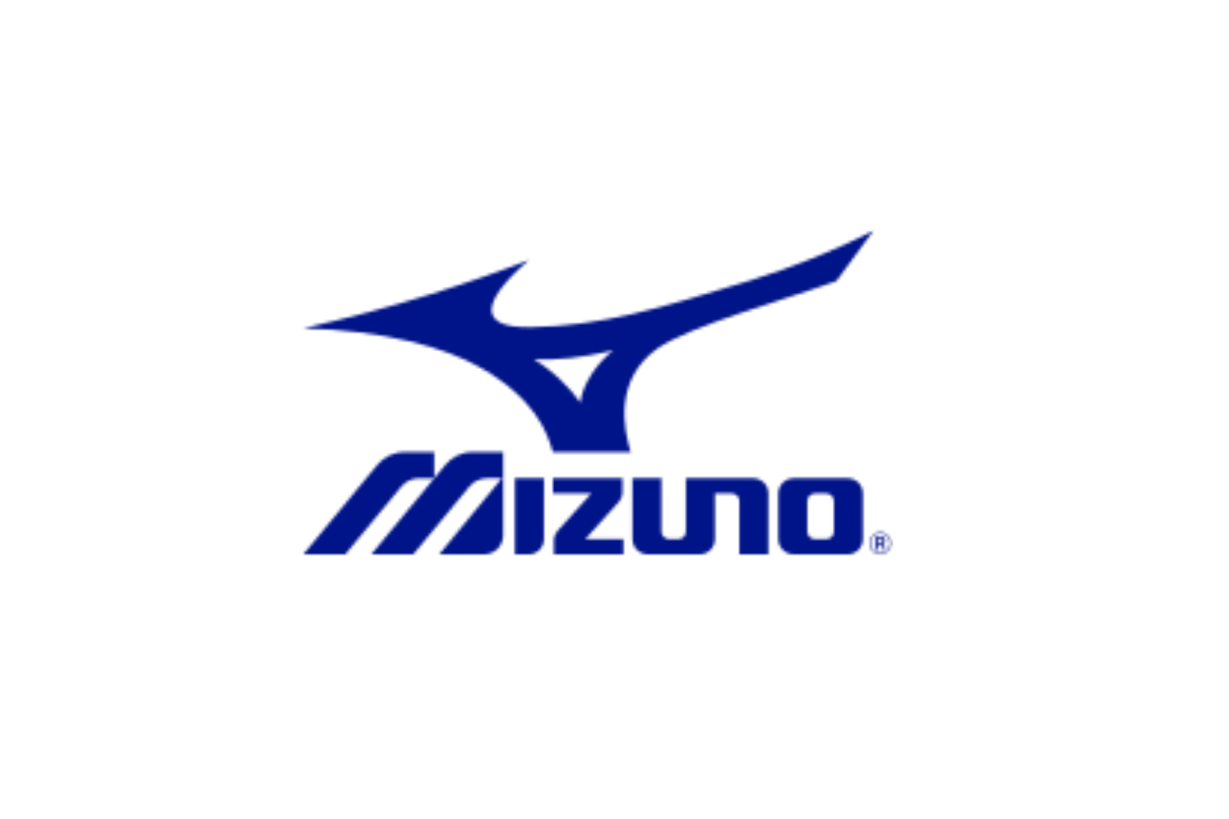 Mizuno annual report 2025