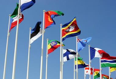 saj shafique via unsplash