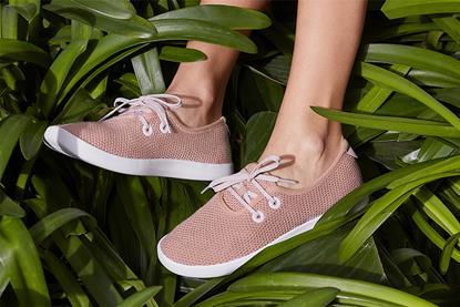 allbirds start