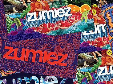 zumiez logo linkedin
