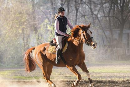getty images x unsplash x horse riding