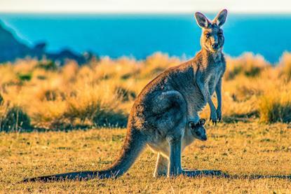 ondrej-machart-QnFVTob4HHE-unsplash (cover)