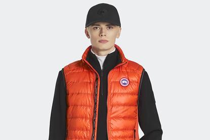 canada goose
