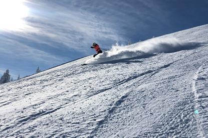 vladana sredic via unsplash