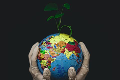 Fateme Alaie on Unsplash