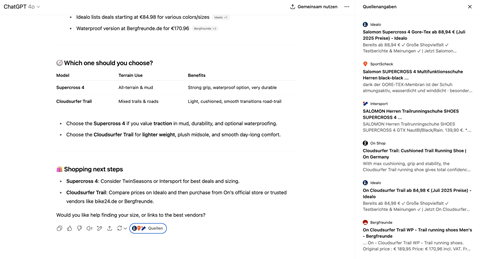 Screenshot ChatGPT shopping chat