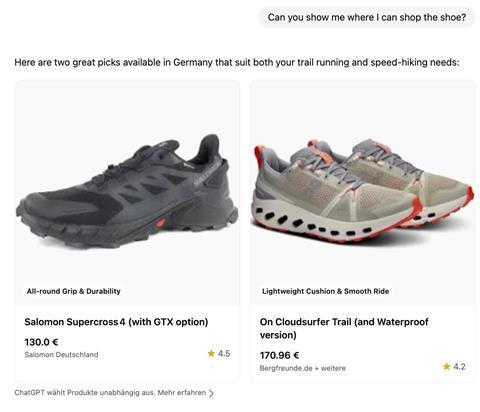 Screenshot ChatGPT shopping chat