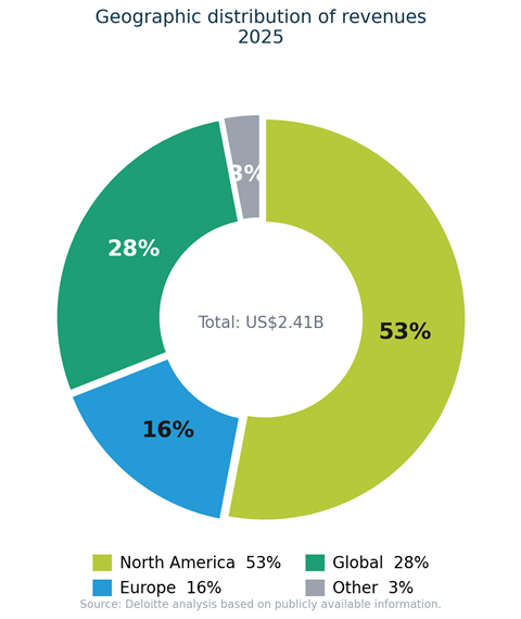 geo_distribution_2025